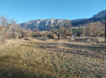 Tocht Stappen Plan-d'Aups-Sainte-Baume - st beaume  hostellerie  source de l'huveaune - Photo