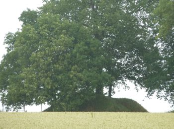 Tour Zu Fuß Gingelom - Tumuli wandelroute - Photo