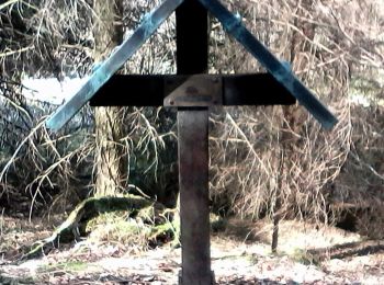 Tocht Te voet Roetgen - Mulartshütte A2 - Photo