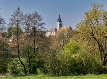 Tocht Stappen Nogent-le-Rotrou - 10981160-ZProjet Nogent - Thiron 2 - Photo