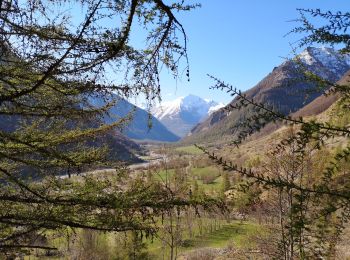 Trail Walking Champoléon - Valestreche et le Gourette depuis les Beaumes. 01/05/19. - Photo