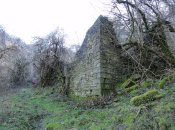 Percorso A piedi Borgo San Lorenzo - (SI L08) Passo della Colla di Casaglia - Passo del Giogo di Scarperia - Photo