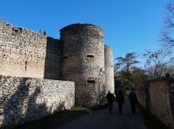 Excursión Senderismo Cabrières-d'Avignon - le mur de la peste château petraque - Photo