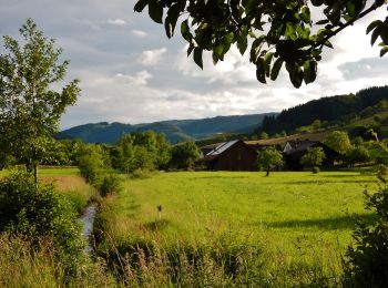 Randonnée A pied Haslach im Kinzigtal - Wald- und Erlebnispfad 