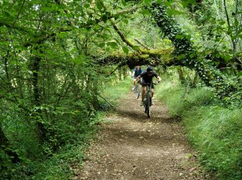 Excursión Bici eléctrica Villeneuve - Villeneuve  - Photo