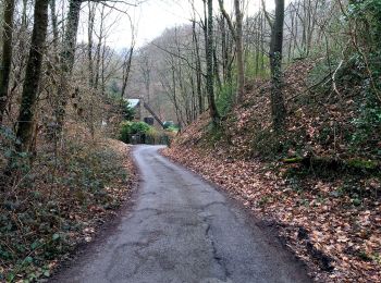 Tour Zu Fuß Unbekannt - Naturfreundeweg Ruhrtalhaus - Werden - Tönisheide - Photo