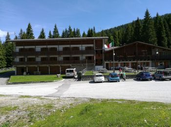 Trail On foot Forni di Sotto - IT-215 - Photo