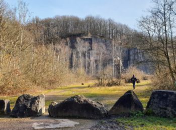 Randonnée Marche Cerfontaine - Balade à Senzeilles - Photo