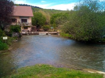 Percorso Marcia Baume-les-Dames - PONT LES MOULINS - Photo