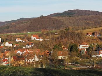 Tour Zu Fuß Hofbieber - Julius-von-Kreyfelt-Malerrundweg - Photo