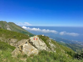 Randonnée A pied Pontinvrea - Il Giovo - Prato Rotondo - Photo