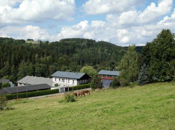 Percorso A piedi Thermalbad Wiesenbad - Ww Thermalbad Wiesenbad - Himmelmühle über Streckewalde - Photo