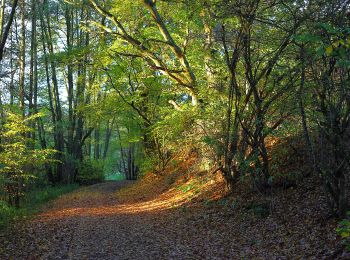 Tocht Te voet Kelkheim - Rund um den Rettershof: Weg 4 - Photo