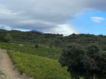 Tocht Stappen Lafare - Les dentelles de montmirail  - Photo