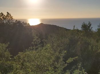 Excursión Senderismo Serra-di-Ferro - Tour de Capannella - Photo