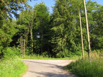 Tocht Stappen Choisy-au-Bac - en forêt de Laigue_7_06_2020_sur les routes de la Fontaine à Baril_Belle Assise_Plessis-Brion_chemin de Voie d'Eau - Photo