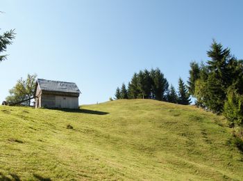 Tour Zu Fuß Unbekannt - EcoMarathon 2012 - Photo