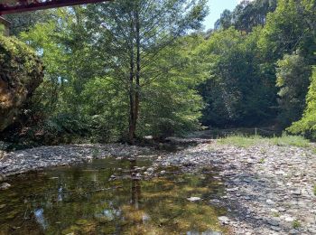 Trail Swimming Saint-Martin-de-Boubaux - Galeizon rando semi aquatique - Photo