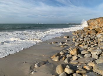 Tocht Stappen Plouarzel - Cote enervee - Photo