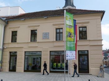 Tour Zu Fuß Bad Leonfelden - Nordwaldkammweg Verbindungsweg V8 - Photo