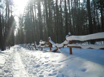 Trail On foot Warsaw - Ścieżka biegowa 