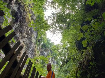 Excursión Senderismo Vic-sur-Cère - Pas de Cère- cascade de Gourdole - Photo