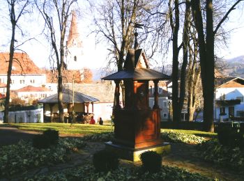 Tocht Te voet Aflenz - Hausberg-Rundmeile - Photo