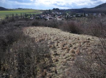 Randonnée A pied Dannenfels - Dannenfels 2: Ruine Wildenstein - Photo