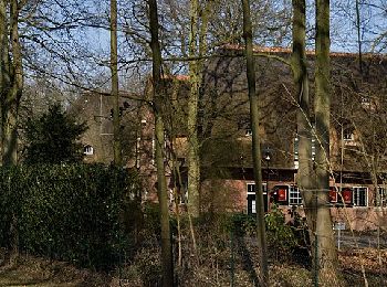 Trail On foot Huizen - IJzeren Veld, Bikbergen en Crailo - Photo