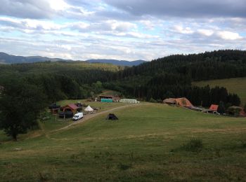 Randonnée A pied Elzach - Eckstraße (Römerstraße) - Photo