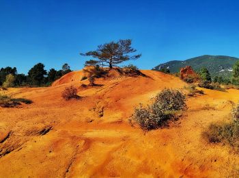 Randonnée Marche Rustrel - Colorado provençal de Rustrel - Photo