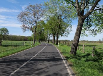 Randonnée A pied Zossen - Rundwanderweg Schünow - Horstfelde - Photo