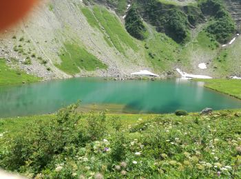 Randonnée Marche Abondance - LAC ET ROC DE TAVANEUSE - Photo