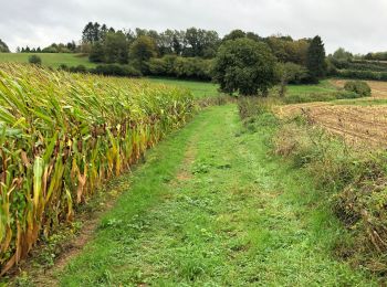 Randonnée Marche Messancy - La Charmouthienne_boucle_Sélange_14km_20190929 - Photo