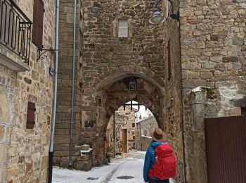 Tour Wandern Pradelles - Chemin de Stevenson J4 : Pradelles - Cheylard l'Évêque - Photo