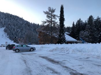 Randonnée Marche Ventron - Ventron col du colet  - Photo