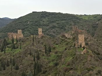 Randonnée 4x4 Minerve - rb 35 jour 4 - Photo