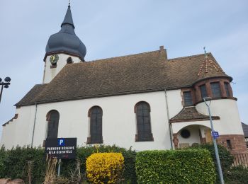 Randonnée Marche Sessenheim - Sessenheim - Fort St Louis - rives du Rhin - Photo