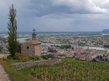 Randonnée Marche Crozes-Hermitage - Pierre Aiguilhe  Croze - Photo