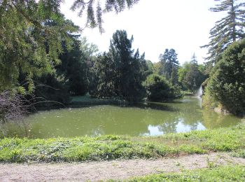 Percorso A piedi Gemeinde Teesdorf - Steinfeldlauf 19,4 km - Photo