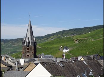 Randonnée Marche Bernkastel-Kues - Berncastel 15 Km - Photo