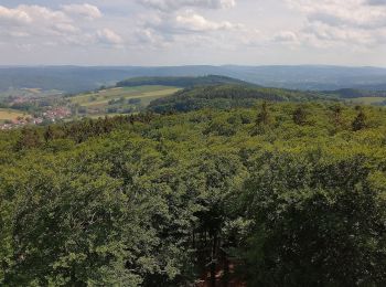 Randonnée A pied Modautal - Rundwanderweg Neunkirchen 2 - Photo