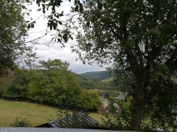 Trail Walking Trois-Ponts - 3ponts  - Photo