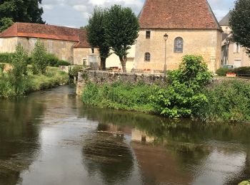 Tocht Stappen Coulaures - Boucle de la Berlandie ( Coulaures)  - Photo