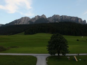 Excursión A pie Gemeinde Walchsee - Wanderweg 35 - Kaiserwinkl - Photo