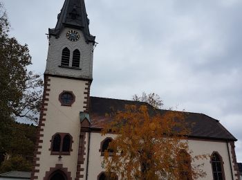 Excursión Senderismo Hausach - Hausach et son château - Photo