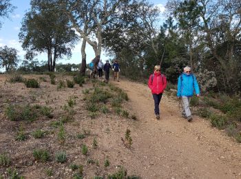 Tour Wandern Les Arcs-sur-Argens - la forêt des Apiés - Photo