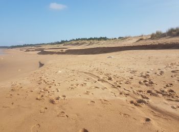 Tocht Stappen Saint-Georges-d'Oléron - saumonards - Photo