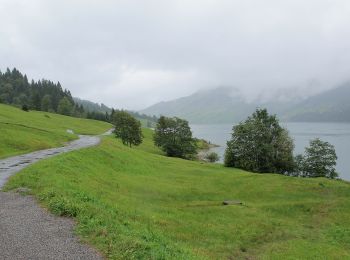 Tour Zu Fuß Innerthal - CH-Au - Stock - Photo