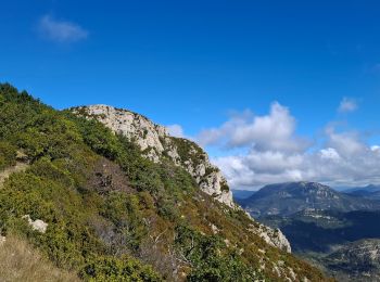 Excursión Senderismo Teyssières - le cougoir retour par les crêtes de Sauveginoux - Photo